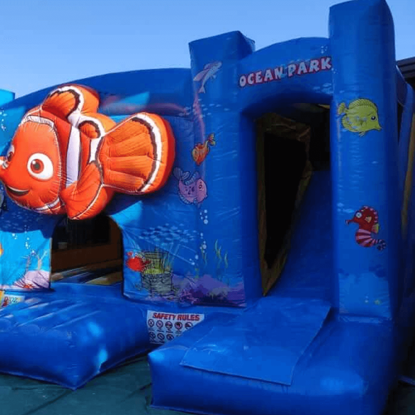 Nemo 2
